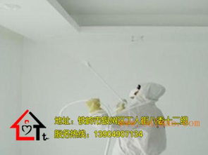 天天家政信息咨詢 一站式服務(wù)助力汽車維修與家居裝修